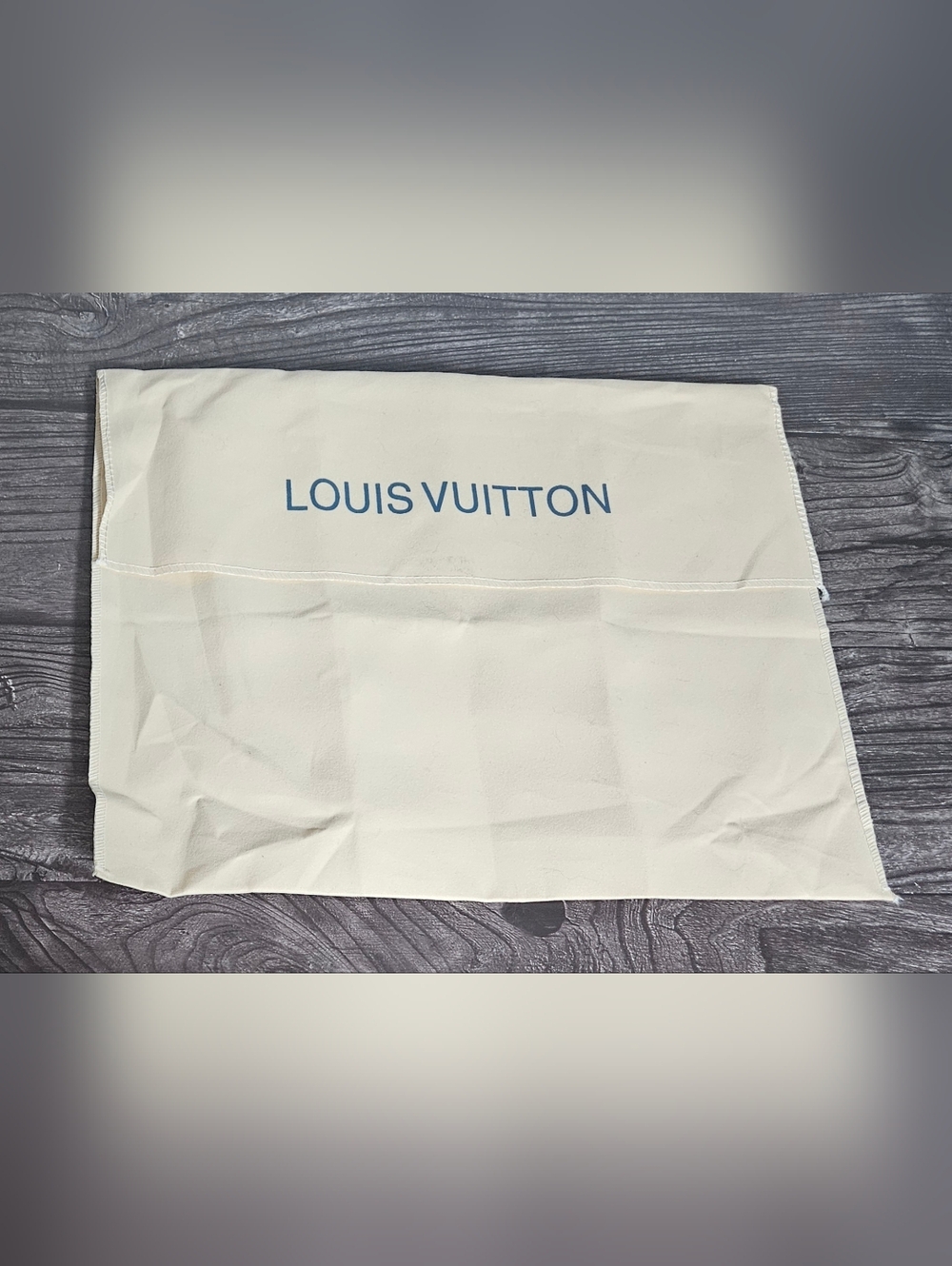 Louis Vuitton Pochette Accessoires Favorite MM Toiletry Large Envelope Dust Bag